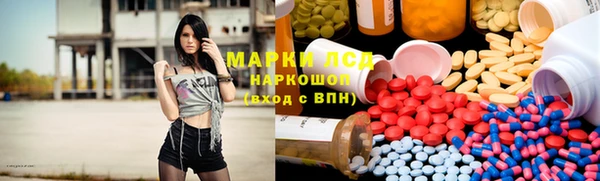 дмт Алзамай