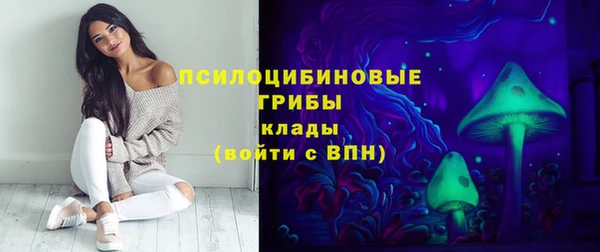 хмурый Алексеевка