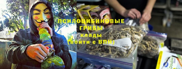 spice Алексин